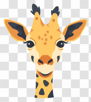 Cute Giraffe Face - Cute Giraffe Cartoon Head Illustration Transparent PNG