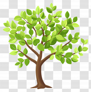 Dense Tree - Green Leafy Tree Illustration Transparent PNG