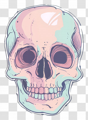 Doodle Skull - Pastel Human Skull Artwork Transparent PNG
