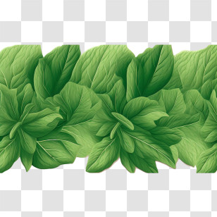 Leaf Border
 - Fresh Green Leaves Transparent PNG