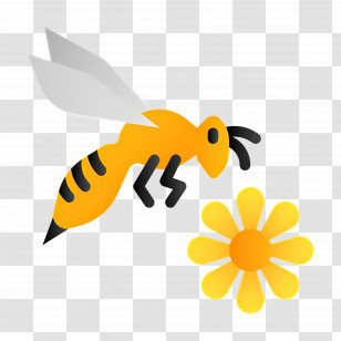 Honey Bee - Bee Flying Near Flower Transparent PNG