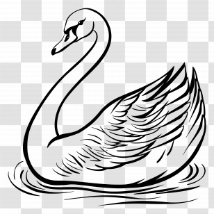 Swan Outline - Elegant Swan Line Art Illustration Transparent PNG