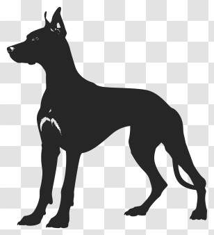 Dog Silhouette - Black Silhouette Of An Alert Dog Transparent PNG