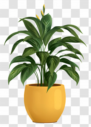 Indoor Plant - Green Plant In Bright Yellow Pot For Decoration Transparent PNG