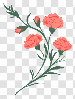 Carnation Flower - Pink Carnations In Floral Design Transparent PNG