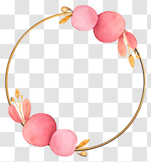 Pink Circle Frame - Elegant Floral Circle Frame Transparent PNG