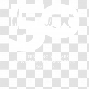Knight Frank Commercial Property Real Estate Residential Area - Agent Transparent PNG