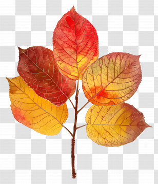 Autumn Background - Vibrant Autumn Leaves With Red And Yellow Colors Transparent PNG