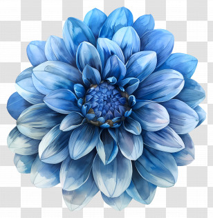 Blue Dahlia Flower - Beautiful Blue Flower With Detailed Petals Transparent PNG