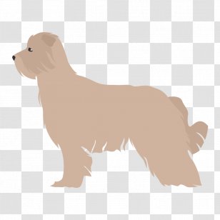 Golden Retriever Dog Breed Puppy Companion Pyrenean Shepherd Transparent PNG