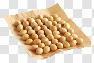 Soy Beans - Soybeans On Paper Transparent PNG