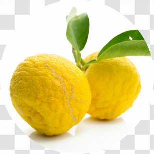 Citrus Junos Juice Citron Fruit Pomelo - Sudachi Transparent PNG