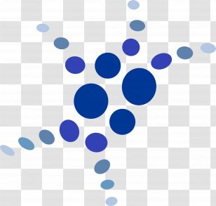 Neuron Computational Neuroscience Bernstein Network Brain - Research Transparent PNG