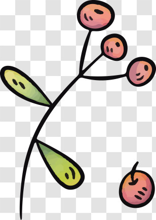 Christmas Plant - Branch With Berries And Leaves Transparent PNG