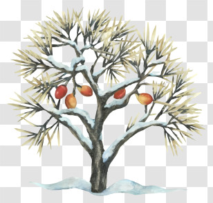 Tree With Red Fruits - Snowy Tree With Fruits In Winter Transparent PNG