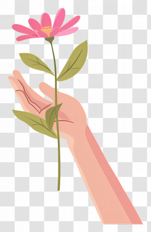 World Kindness Day - Hand Holding Pink Flower Illustration Transparent PNG