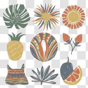 Tropical Fruit - Tropical Elements With Leaves And Fruits Transparent PNG