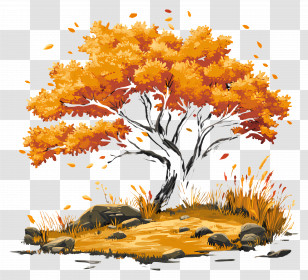 Autumn Nature - Autumn Tree With Vibrant Orange Leaves Transparent PNG