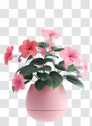 Hanging Blooming Plant - Pink Flower Pot With Blooming Flowers Transparent PNG