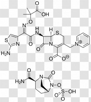 Ceftazidime/avibactam Cephalosporin Î²-Lactamase Inhibitor - Combination Drug - Ceftazidime Transparent PNG