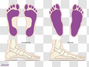 Foot Flat Feet Spreidvoet Patient Knee - Heart - Watercolor Transparent PNG