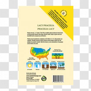Organic Food Cucurbita Pepo Var. Cylindrica Certification Seed Squash - Var - Vegetable Transparent PNG