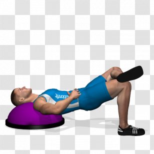 BOSU Exercise Pilates Physical Fitness Squat - Watercolor - Bridge Workout Transparent PNG
