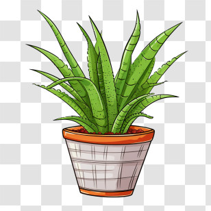 Aloe Vera - Potted Aloe Vera Succulent Plant Transparent PNG