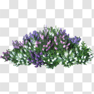 Shrub - Cluster Of Purple And White Flowers Transparent PNG