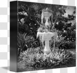 Black And White Photography Canvas Print Gallery Wrap Painting Transparent PNG