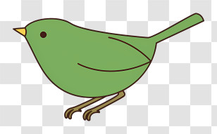 Cartoon - Simple Green Bird Transparent PNG