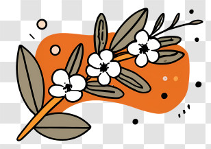 Small Bouquet - Flowering Branch Illustration Transparent PNG