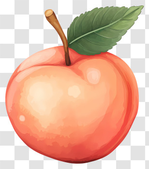 Peach - Pink Peach With Leaf In A Beautiful Illustration Transparent PNG