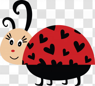 Ladybug Transparent PNG
