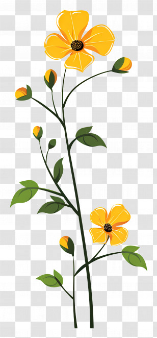 Yellow Flowers - Yellow Flower With Stalk And Buds Illustration Transparent PNG