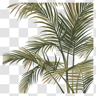 Palm Branches - Realistic Palm Leaves Illustration For Nature Lovers Transparent PNG