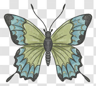 Butterfly - Green And Blue Butterfly Illustration Transparent PNG