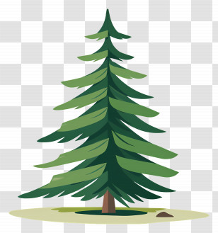 Christmas Tree - Evergreen Conifer Tree Illustration Transparent PNG