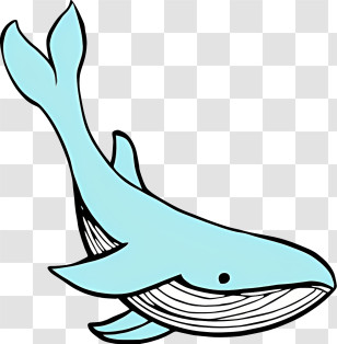 Blue Whale - Cute Whale Cartoon Illustration Transparent PNG