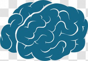 Mindset: The New Psychology Of Success Teacher Learning Education - Tree Transparent PNG