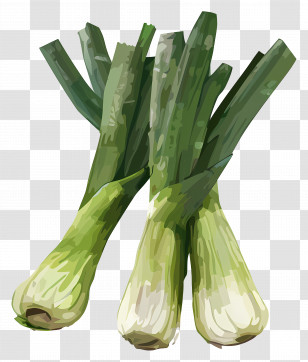 Leeks - Fresh Green Spring Onions Transparent PNG