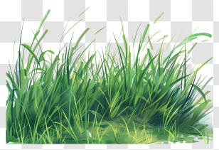 Grass Field - Beautiful Lush Green Grass Illustration Transparent PNG