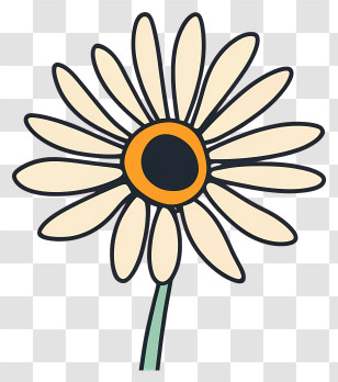 Daisy Flower - Daisy Flower Illustration In Cartoon Style Transparent PNG