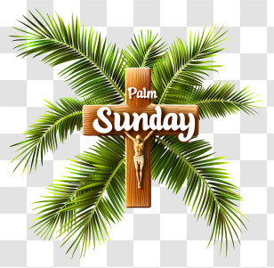 Palm Sunday - Palm Sunday Celebration With Cross And Palm Leaves Transparent PNG