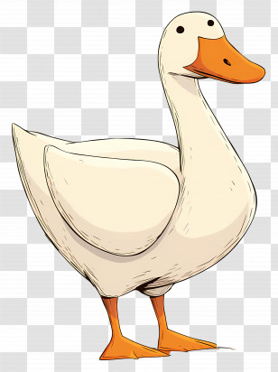 Cartoon Goose - White Cartoon Duck Illustration Transparent PNG