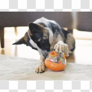 weeble dog toy