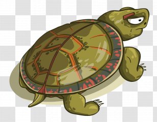 Sea Turtle Background - Box Painted Transparent PNG