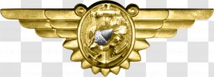 Call Of Duty: WWII Second World War Flight Nurse United States Navy Corps - Duty Wwii - Enlisted Aviation Warfare Specialist Insignia Transparent PNG