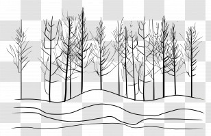Forest - Bare Trees In Winter Forest Transparent PNG