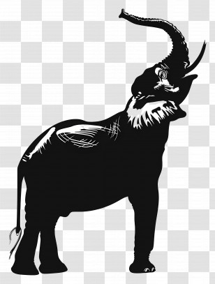Elephant Trunk Up Silhouette - Elephant Silhouette Illustration Transparent PNG